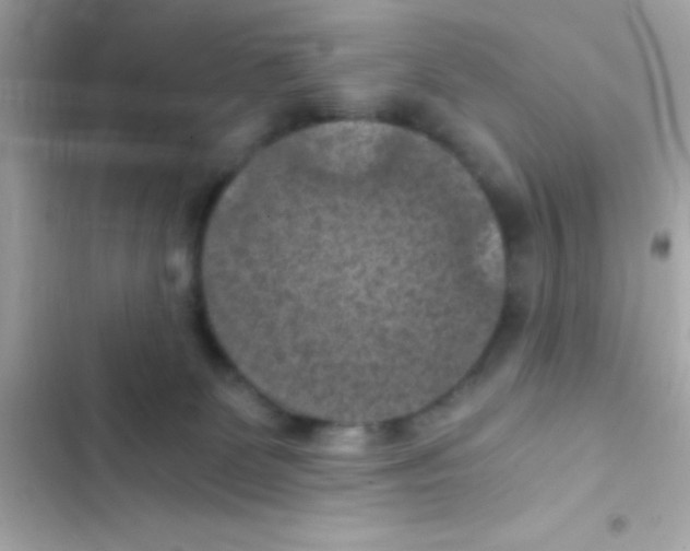 X0000103140131200809192014
