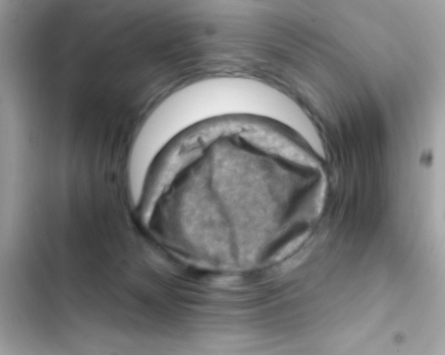 X0000103140132200809192014