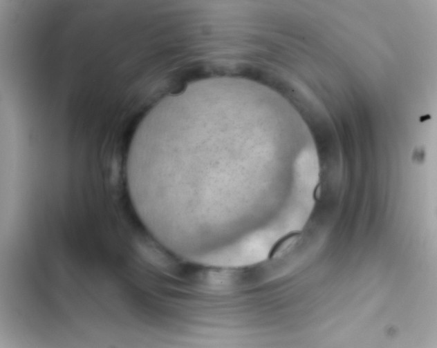 X0000103140134200809192014
