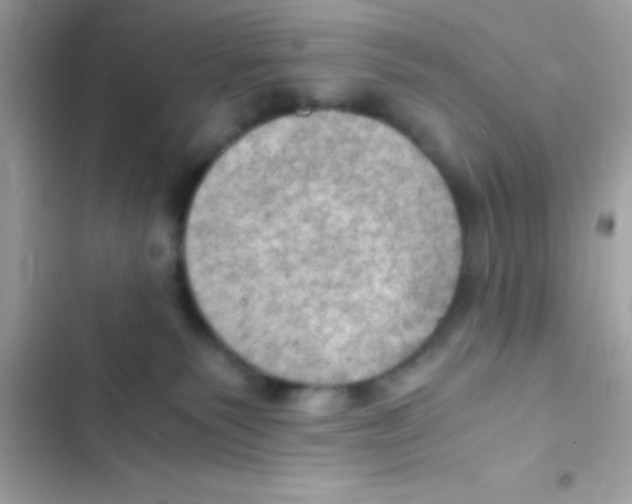 X0000103140135200809192014