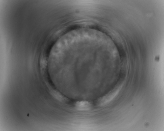 X0000103140137200809192014