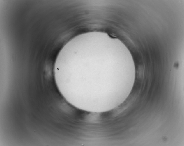 X0000103140138200809192014