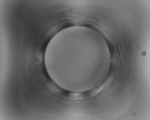 X0000103140139200809192014
