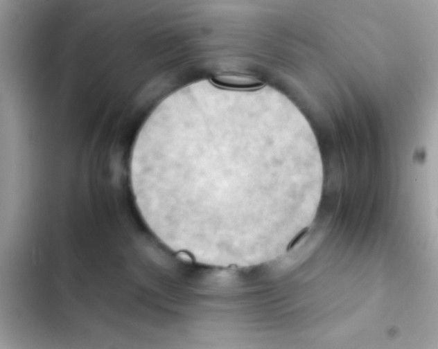 X0000103140140200809192014