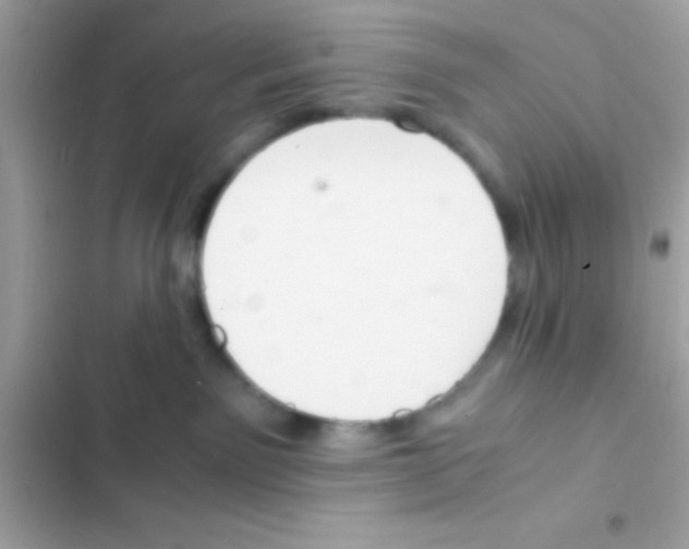 X0000103140141200809192014