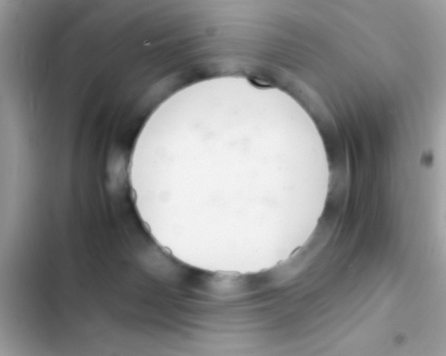 X0000103140142200809192014