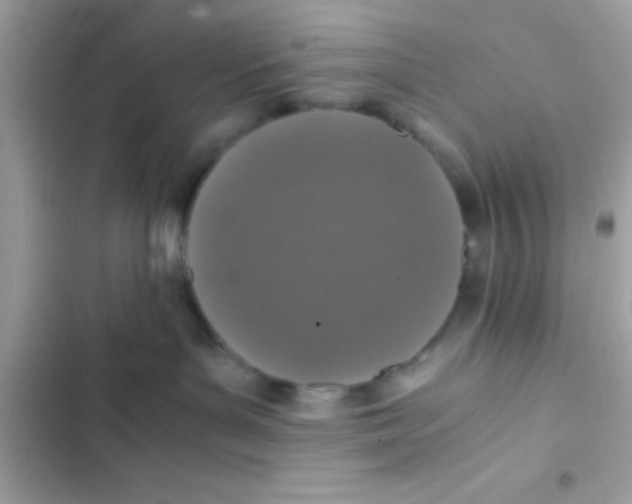 X0000103140143200809192014
