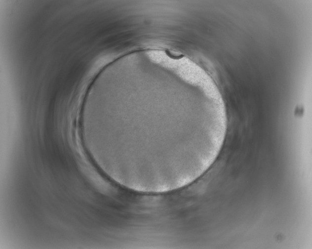X0000103140145200809192013