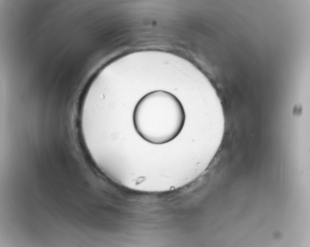 X0000103140146200809192013