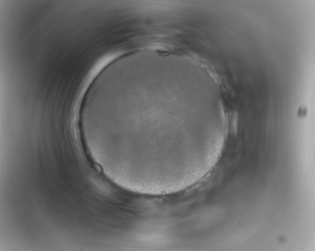 X0000103140147200809192013