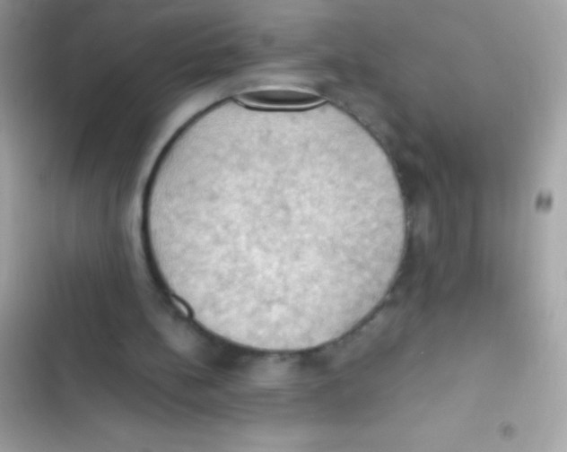 X0000103140148200809192013