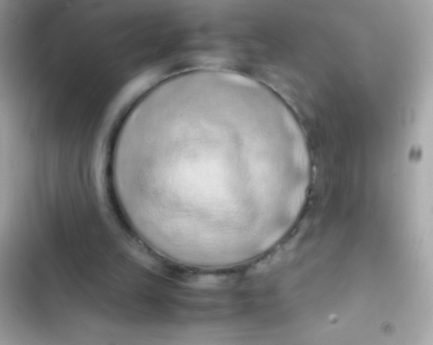 X0000103140149200809192013
