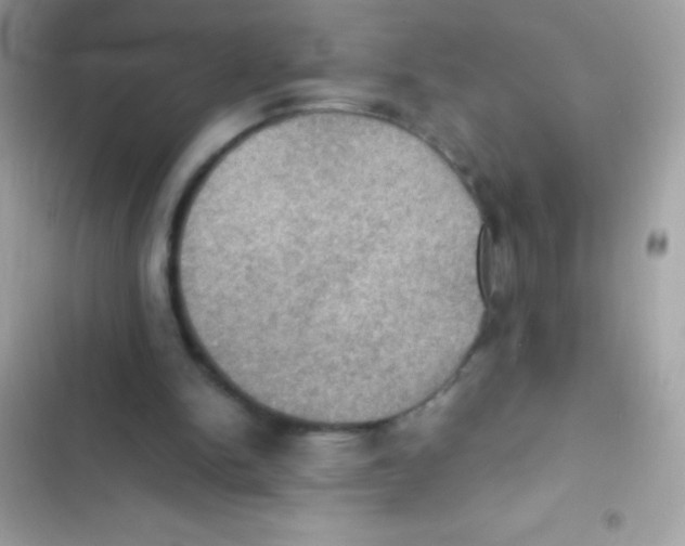 X0000103140150200809192013