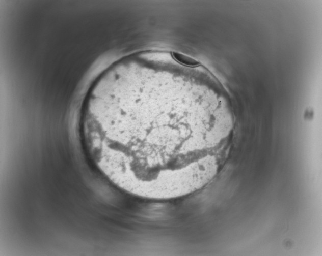 X0000103140151200809192013
