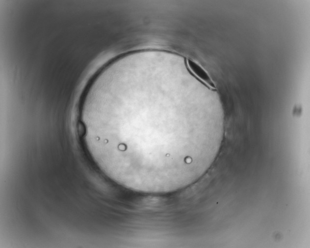 X0000103140152200809192013