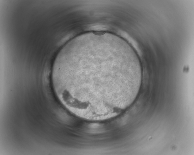 X0000103140153200809192013