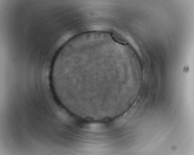 X0000103140154200809192013