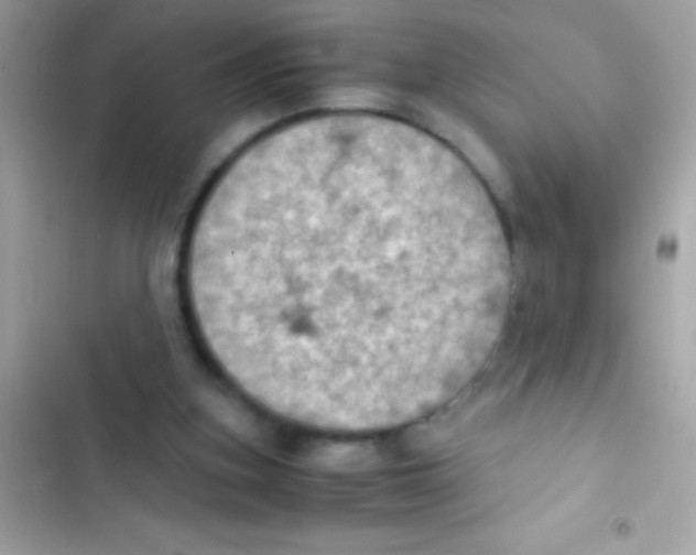 X0000103140155200809192013