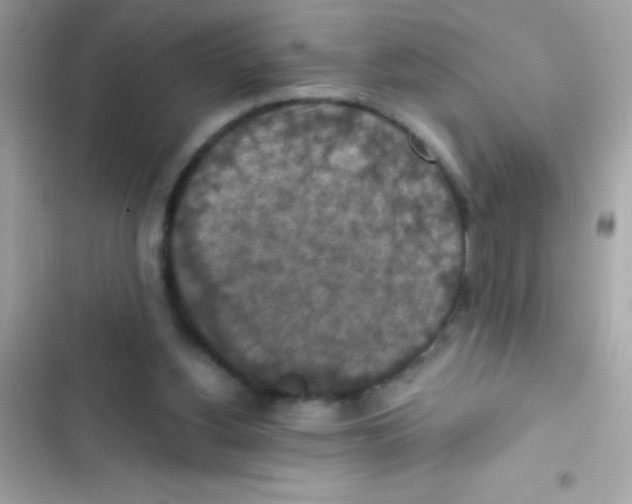 X0000103140156200809192013