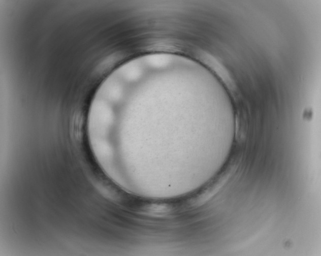 X0000103140157200809192013