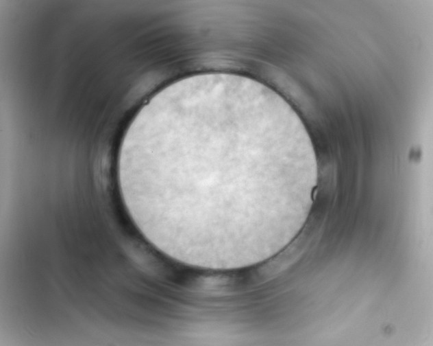 X0000103140158200809192013