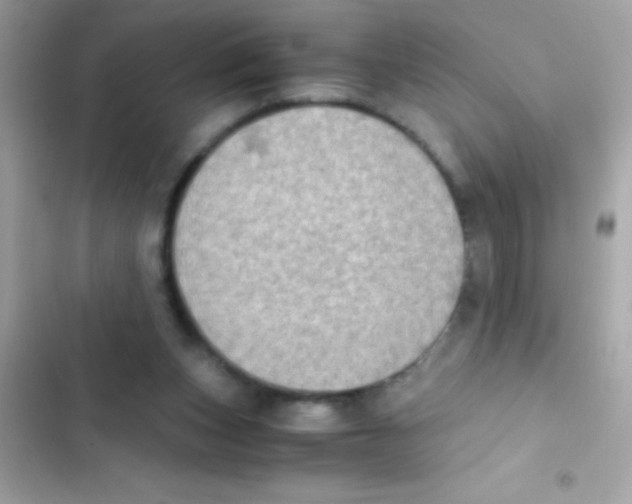 X0000103140159200809192013