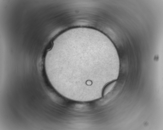 X0000103140160200809192013
