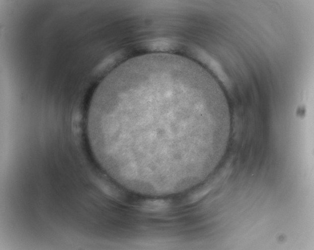 X0000103140161200809192013