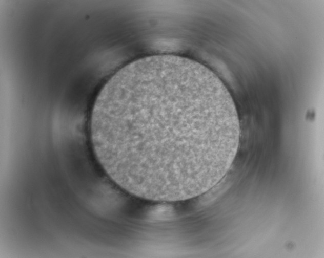 X0000103140162200809192013