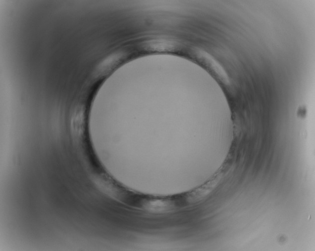 X0000103140163200809192013