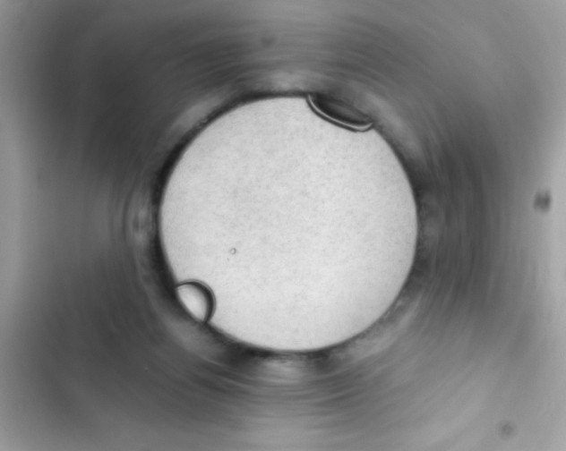 X0000103140164200809192013