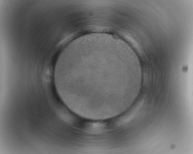 X0000103140165200809192013