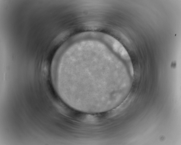 X0000103140166200809192013