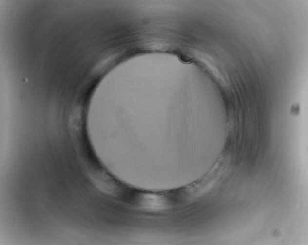X0000103140167200809192013