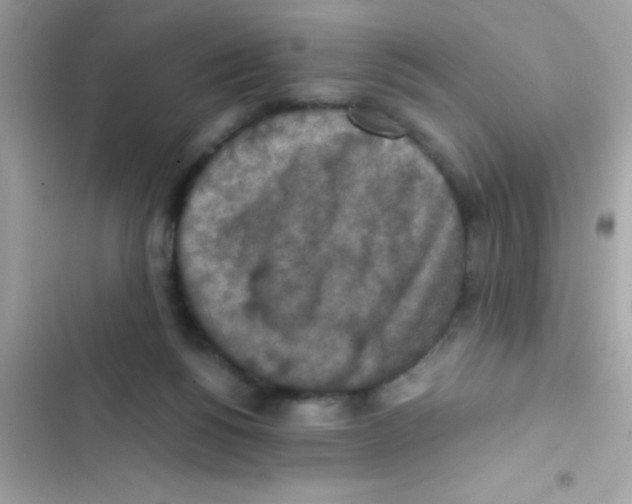X0000103140168200809192013