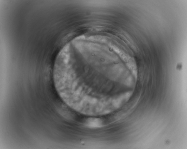 X0000103140169200809192013
