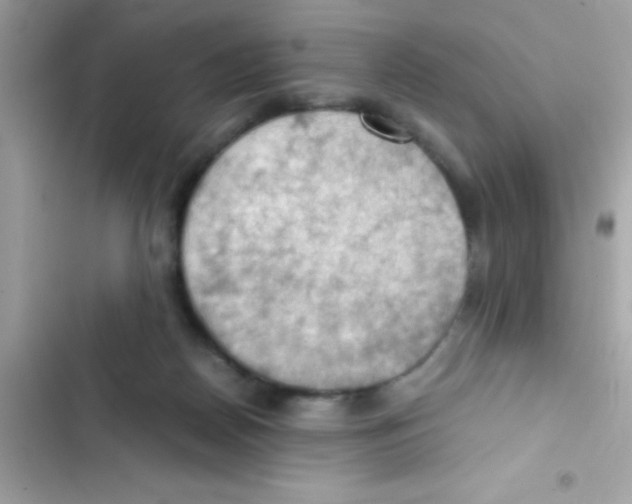 X0000103140170200809192013