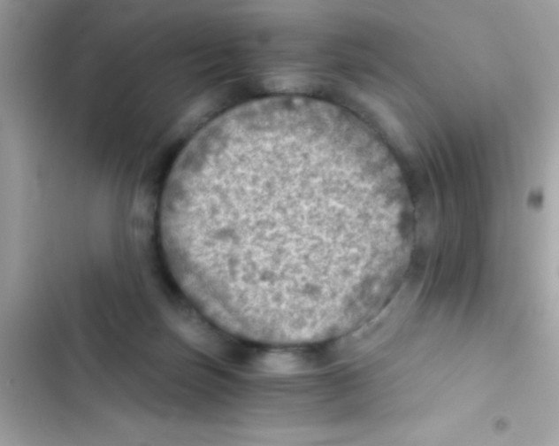 X0000103140171200809192013