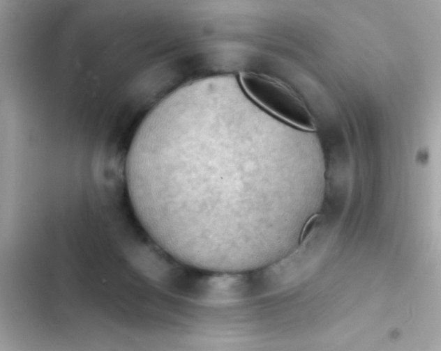 X0000103140172200809192013