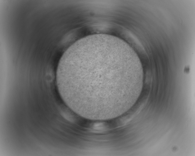 X0000103140173200809192013