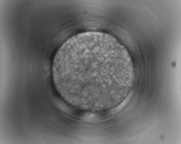 X0000103140174200809192013