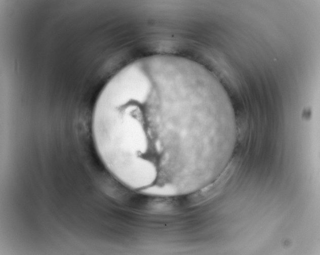 X0000103140175200809192013