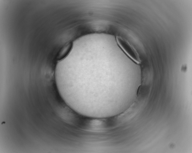 X0000103140176200809192013