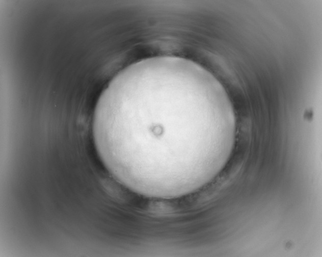 X0000103140177200809192013