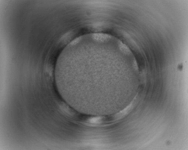 X0000103140178200809192014