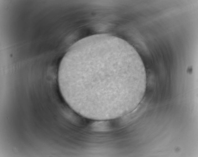 X0000103140179200809192014