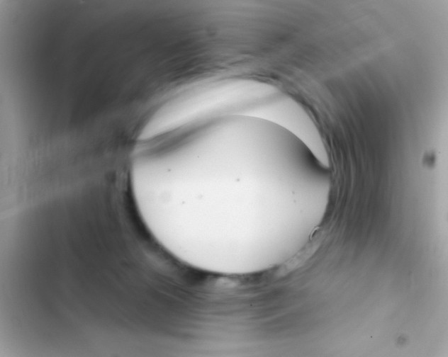 X0000103140180200809192014