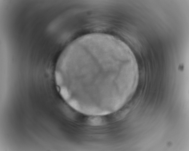 X0000103140181200809192014