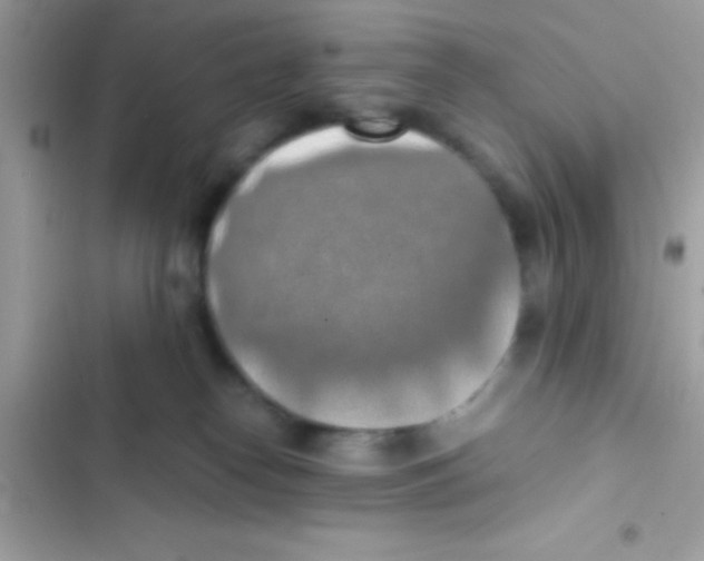 X0000103140182200809192014
