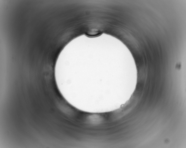 X0000103140183200809192014